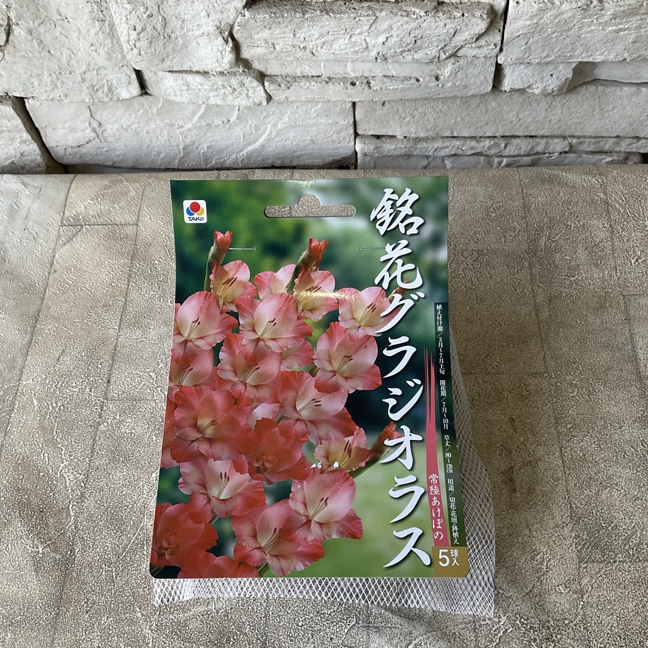 【球根】銘花グラジオラス　常陸あけぼの　5球　タキイ種苗
