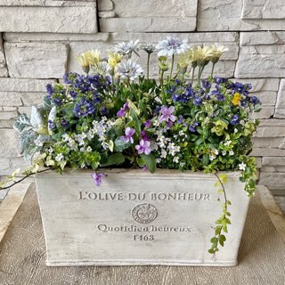 【母の日ギフト2024寄せ植え】Sサイズ