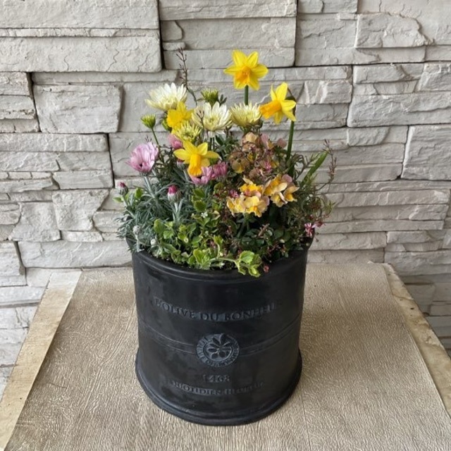 【母の日ギフト2024寄せ植え】Sサイズ