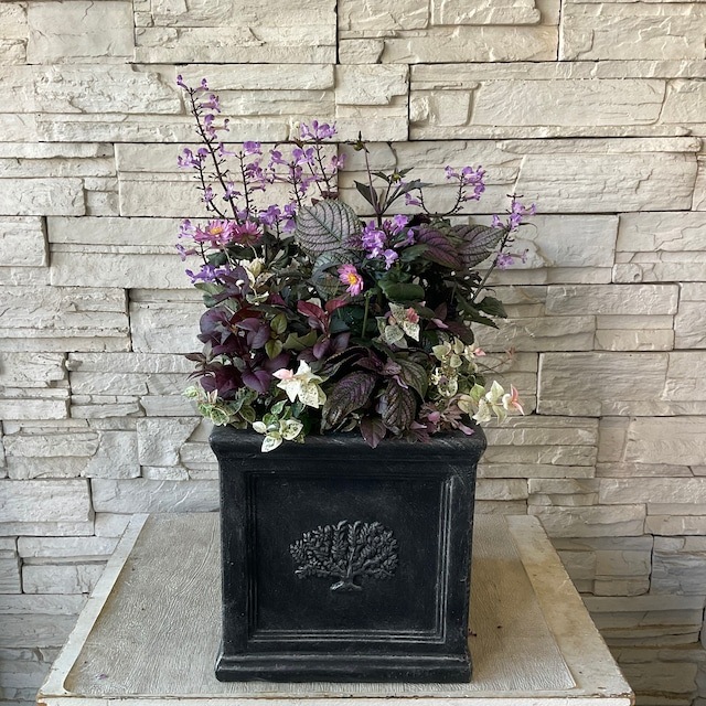 【母の日ギフト2024寄せ植え　Lサイズ】