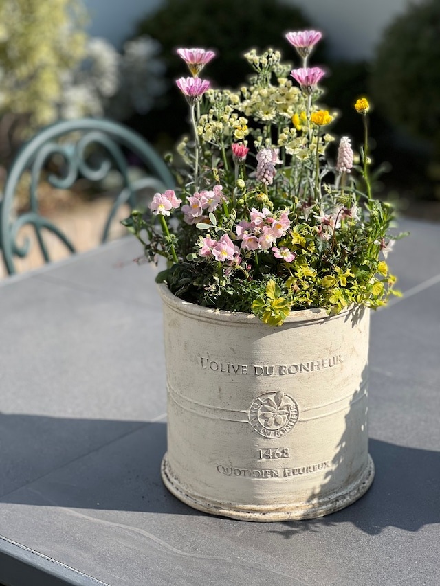 【母の日ギフト2024寄せ植え　Lサイズ】