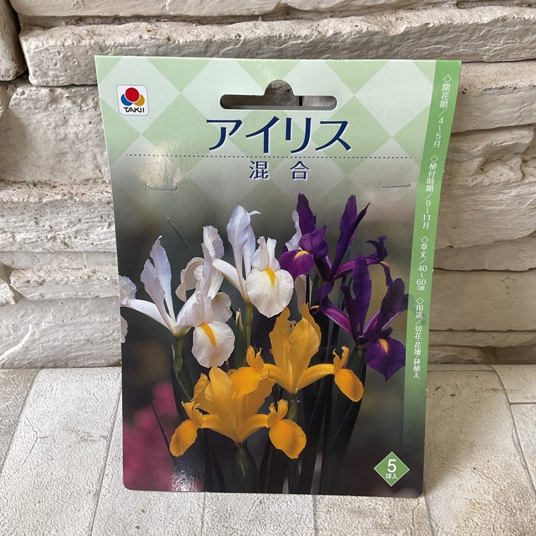 【球根】アイリス　5球入り