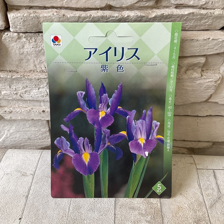 【球根】アイリス　5球入り