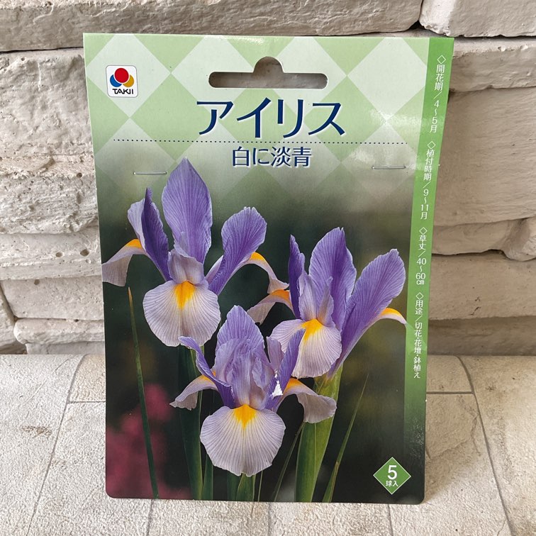 【球根】アイリス　5球入り