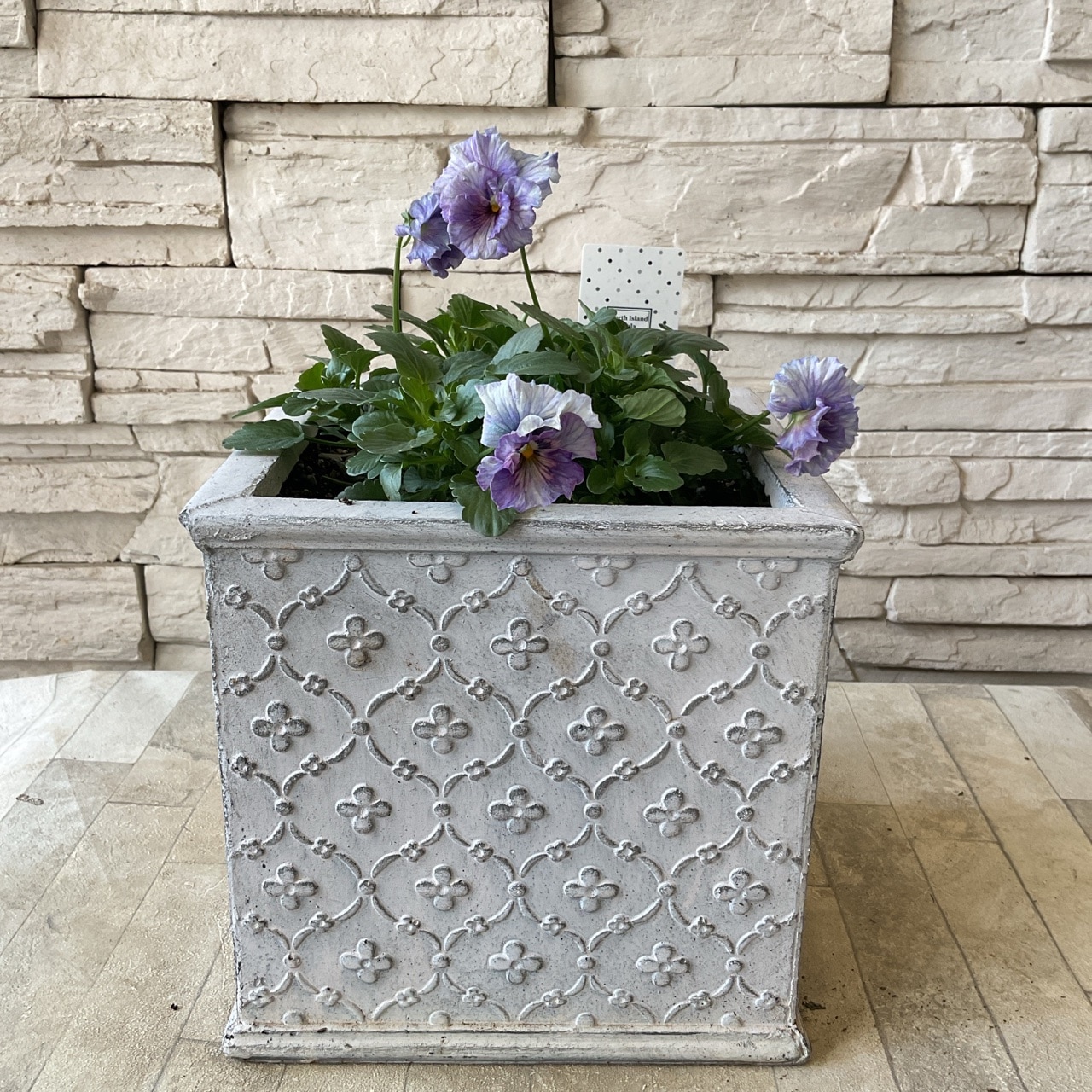 【LAURA ASHLEY】鉢 グレー 約22cm【ガーデニング】 LAURA ASHLEY】鉢 グレー 約22cm【ガーデニング】 ローラアシュレイ鉢