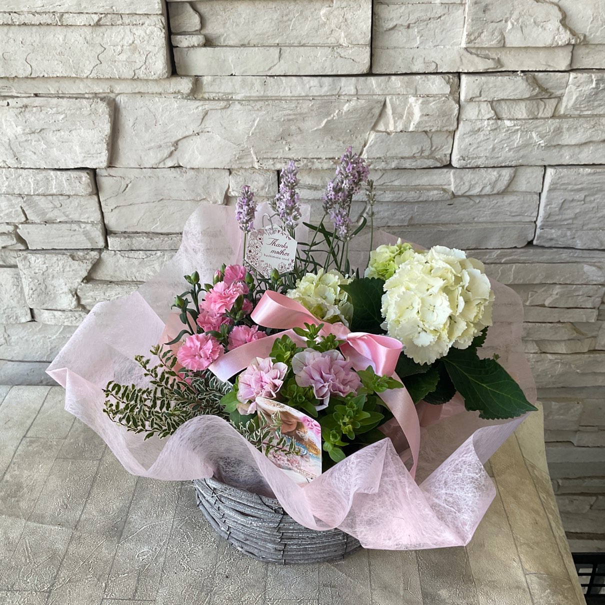 母の日におすすめ】紫陽花とカーネーションの寄せ鉢 | GIFT | 橋本種苗