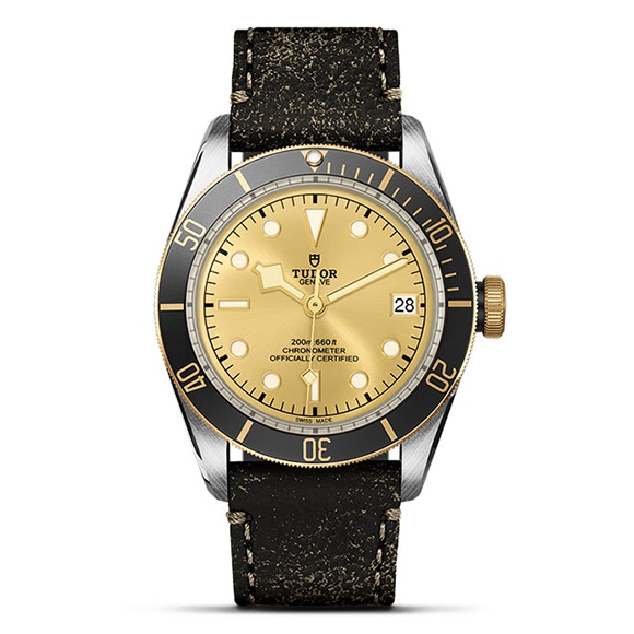 TUDOR 塼 BLACK BAY S&G