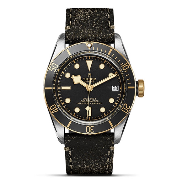 TUDOR 塼 BLACK BAY S&G
