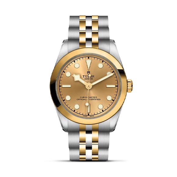 TUDOR 塼 BLACK BAY ONE 31 S&G