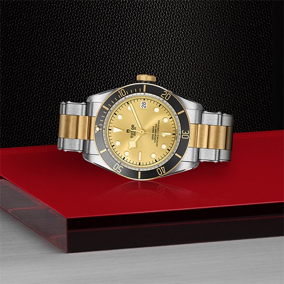 TUDOR ���塼���� BLACK BAY S&G