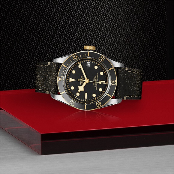 TUDOR ���塼���� BLACK BAY S&G