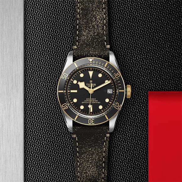 TUDOR ���塼���� BLACK BAY S&G