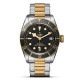 TUDOR ���塼���� BLACK BAY S&G