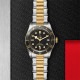 TUDOR ���塼���� BLACK BAY S&G