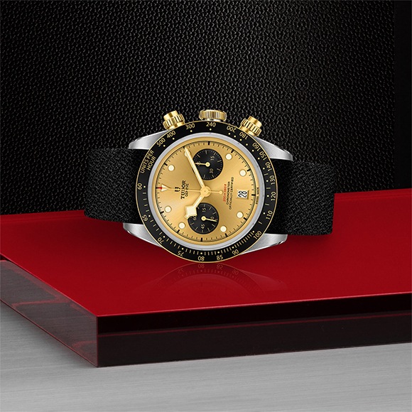 TUDOR ���塼���� BLACK BAY CHRONO S&G