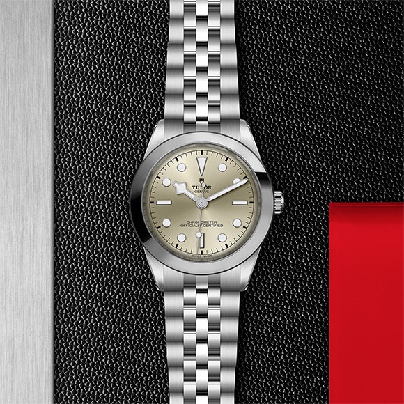 TUDOR ���塼���� BLACK BAY ONE 39