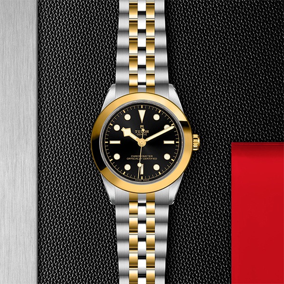 TUDOR ���塼���� BLACK BAY ONE 39 S&G