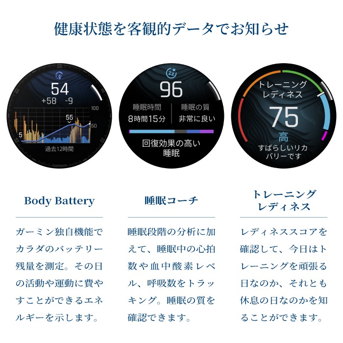 Garmin ߥ Business Athlete fenix8 AMOLED 47mm 010-02904-47