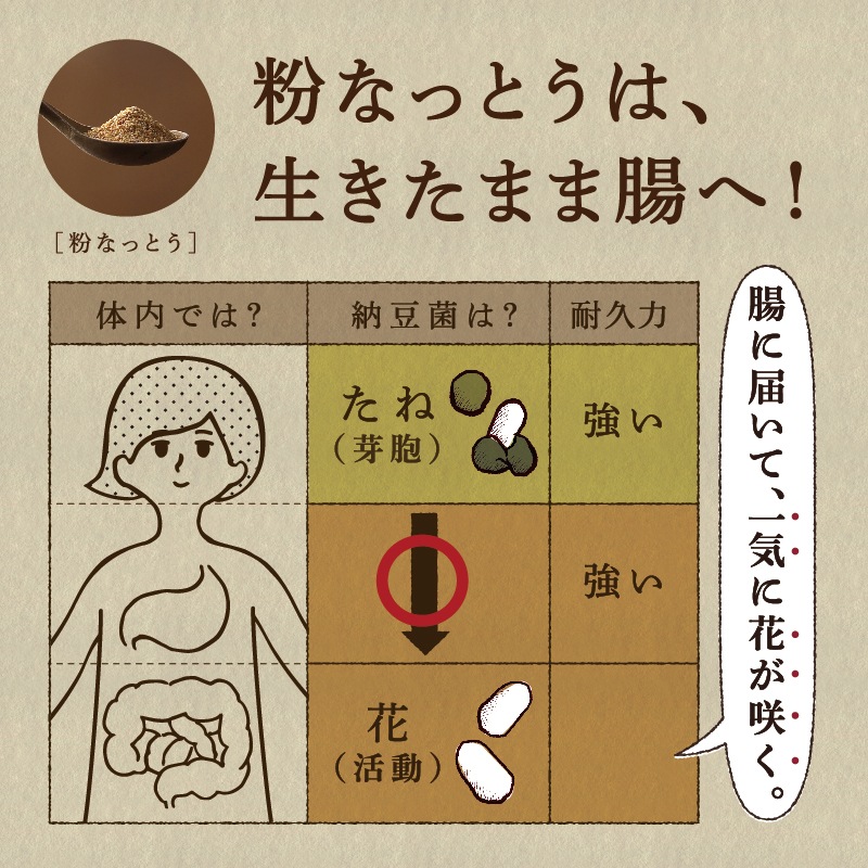 粉なっとう[パウダー] 180g 5袋セット　MBSよんチャンTVに紹介されました