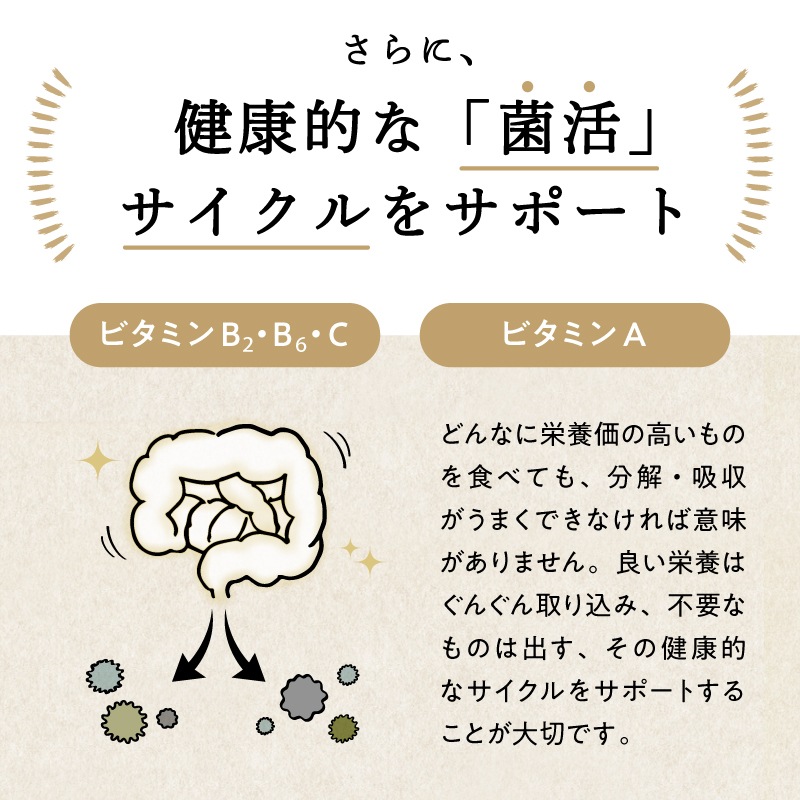 甘酒プロテイン 300g　（20食分） 新発売