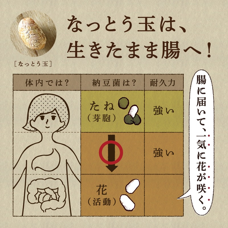 なっとう玉 150g×3袋セット