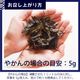 上勝阿波晩茶[乳酸菌発酵茶]60g入×3個セット【おひとり様1セットまで】　※次回入荷未定。入荷時はメルマガにてお知らせ予定※