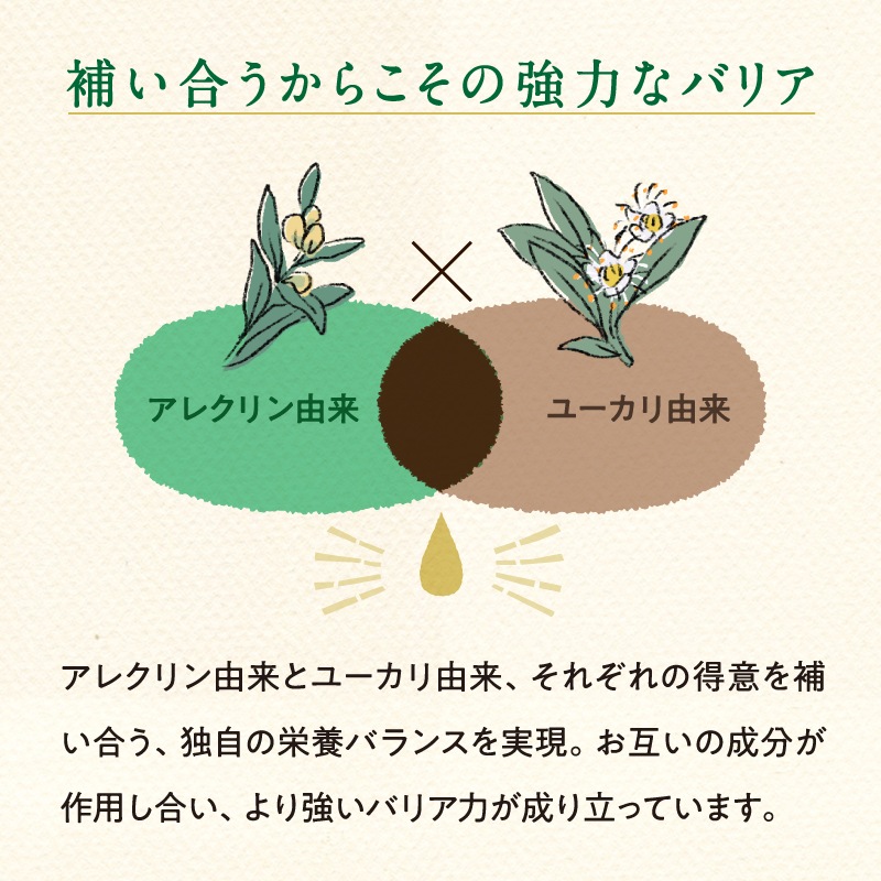 [定期購入]　【3本セット】はすや十年熟成木樽仕立てプロポリス　30ml