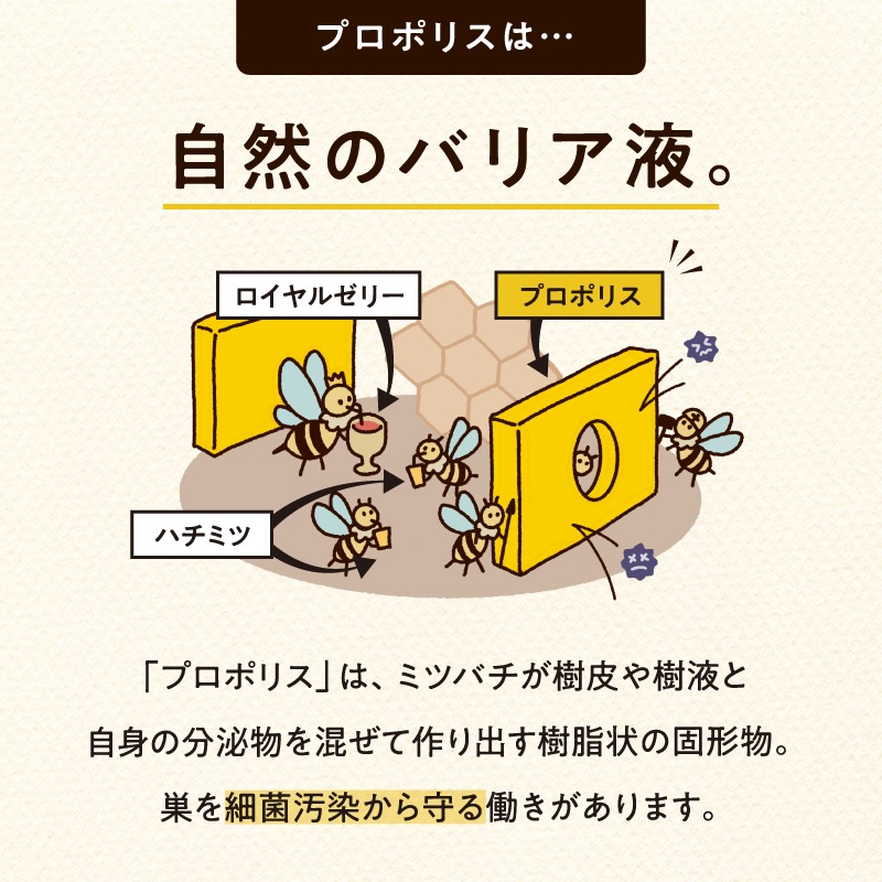 [定期購入]　【5本セット】はすや十年熟成木樽仕立てプロポリス　30ml