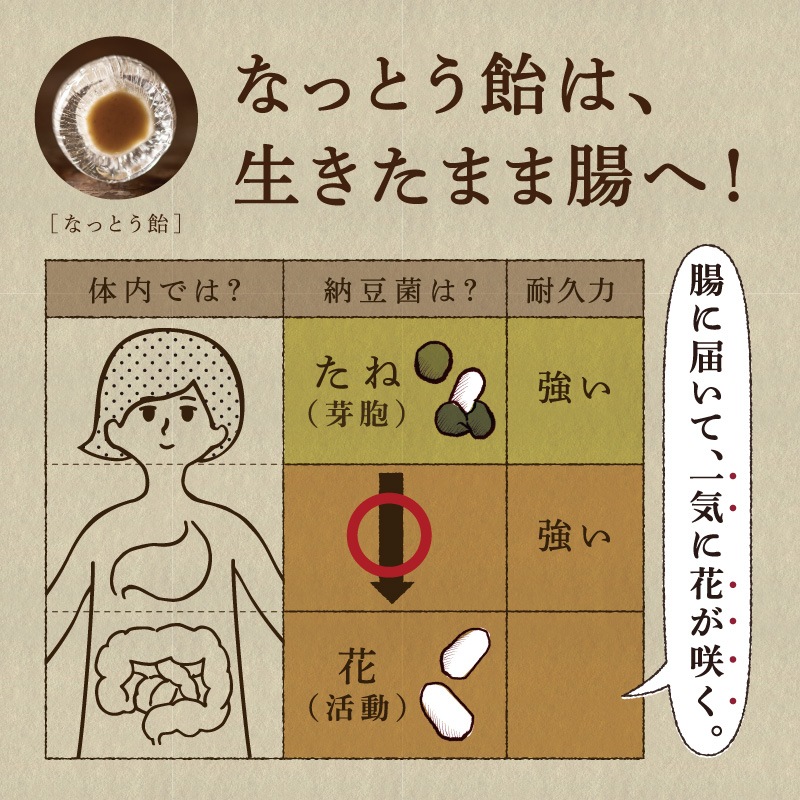 なっとう飴（冬季限定）70g×10袋セット【宅配便送料無料】　
