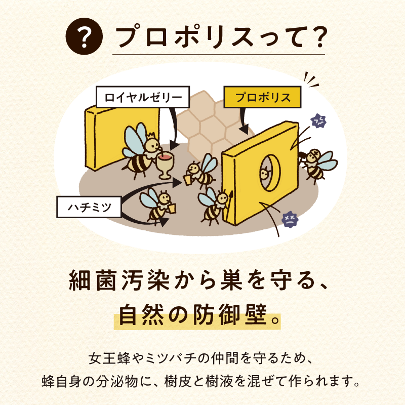 【5本セット】はすや三年熟成木樽仕立てプロポリススプレー30ml