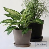 ȭ�����åꥵ������ե��ݥåȡʥץ졼���դ��ˡå��ɥ����ǡ�M������(��28cm�ݡ�21cm)�å١����� ���������졼�á�107078��