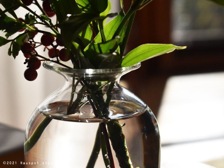 ���� �ʥ�����ƥ����� ���� �̲��åʥ����륯�ꥢ���饹�١�����ľ��8cm�߹⤵11.5cm�å��饹�١��� �ե��١�����Stef(���ƥ�)