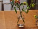  ʥƥ  ̲åʥ륯ꥢ饹١ľ7.5cm߹⤵14.7cmå饹١ ե١Fine(ե)