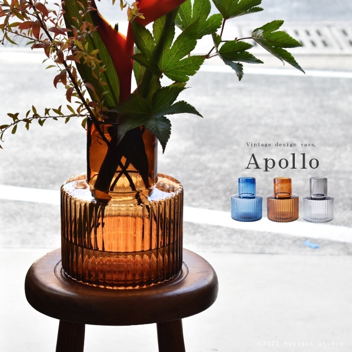 ���� ��ʪ �̲� ������� �ե��١��� Apollo ���ݥ� �֥롼 �֥饦�� ���졼 ������ơ����� ���饹�١��� �礭�� Ʃ�� �� ���襤��