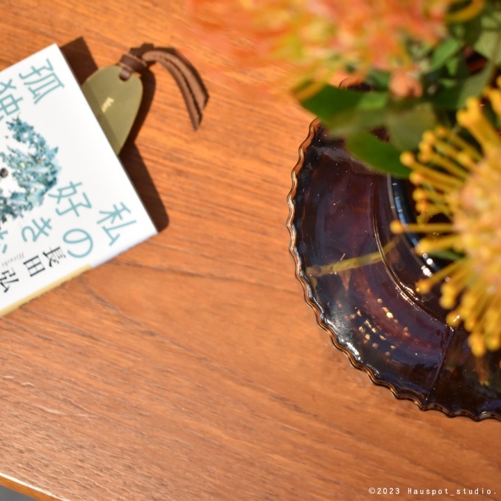 ���� ��ʪ �̲� ������� �ե��١��� Apollo ���ݥ� �֥롼 �֥饦�� ���졼 ������ơ����� ���饹�١��� �礭�� Ʃ�� �� ���襤��