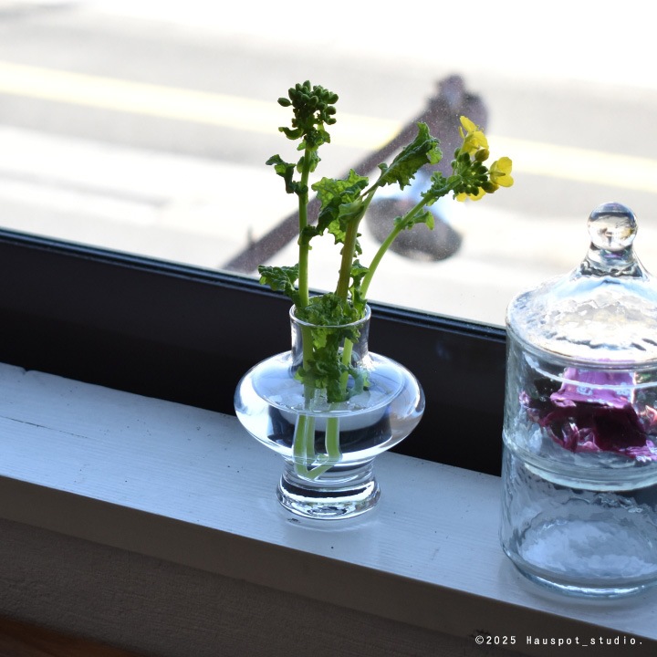 �ե��١��� �����ޤ� ���饹�ü�ΤҤ饵�����Υץ��١����� �����/���ȥ饤�ץǥ������7����å��ȥ饤�ס������ߥ˥��饹�١���