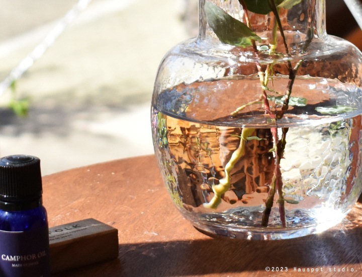 �ե��١��� ���饹 ������� �� ���ꥢ��M����������10.2cm�ݡ߹⤵12.0cm�ʸ��¡���5.8cm)�� �֥롼�����ꥢ�ò��� �ǥ����� �� ��5202��Livia(��ӥ�)