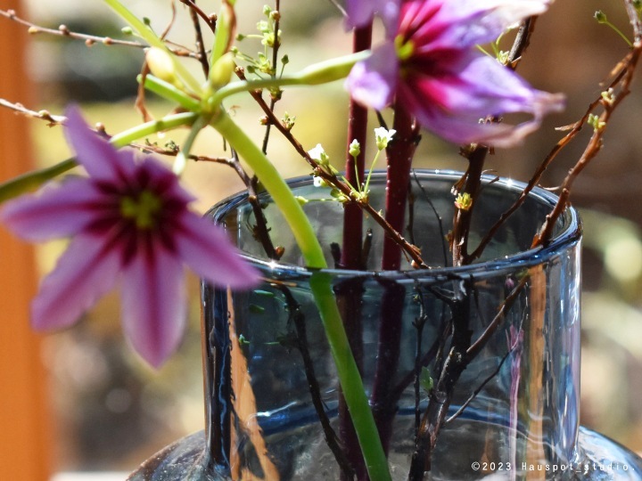 �ե��١��� ���饹 ������� �� ���ꥢ��M����������10.2cm�ݡ߹⤵12.0cm�ʸ��¡���5.8cm)�� �֥롼�����ꥢ�ò��� �ǥ����� �� ��5202��Livia(��ӥ�)