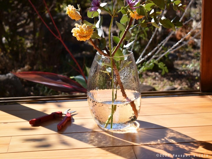 �ե��١��� ��ʪ ���饹 ������� �� ���ꥢ��L����������14.5cm�ݡ߹⤵20.0cm �å֥롼�����ꥢ�ò��� ���顼 �ǥ����� ����5101��Mare(�ޡ���)