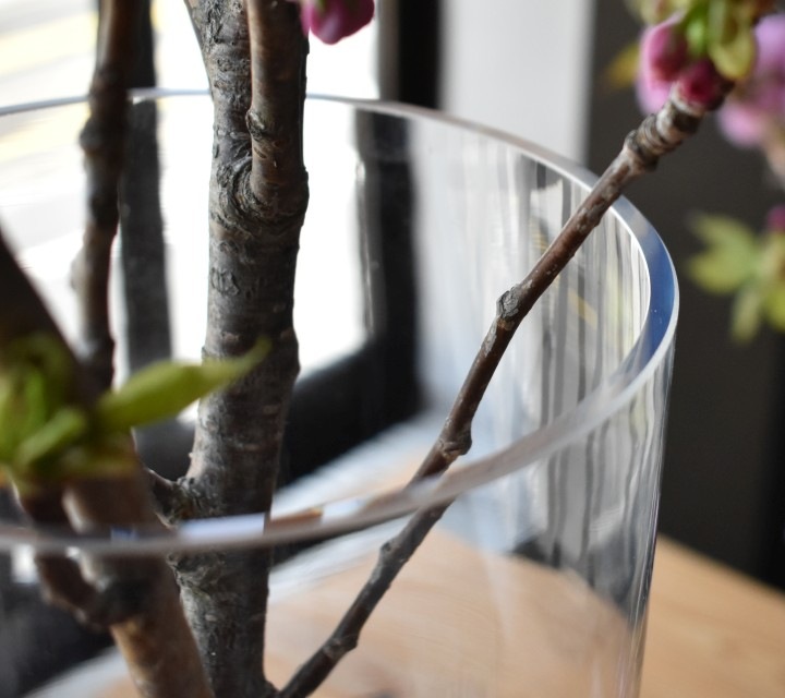 ���饹�١��� ��ʪ ���� �ݷ����������١��� ��model 1522�å�������ľ����15cm�ݡ߹⤵22.5cm�òִ� ���� �ե��١��� ���� ���� �������