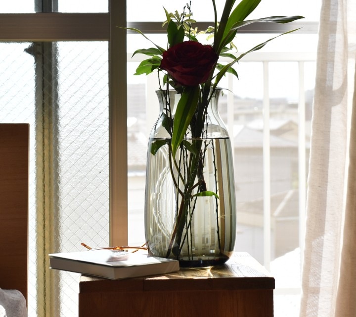 �ե��١������̲��ǥ�����åߥ塼����L����������16cm�ݡ�30cm�å��졼�����ꥢ���ԥ󥯡á�6701��