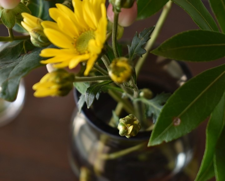 �ե��١������̲��ǥ�����åߥ塼����L����������16cm�ݡ�30cm�å��졼�����ꥢ���ԥ󥯡á�6701��