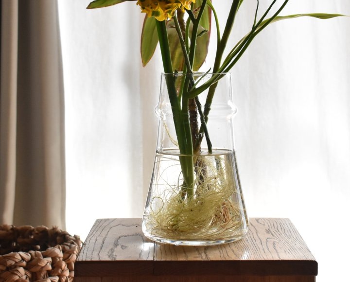 �ե��١��� ��ʪ�ˤ��������HORN��L����������15cm�ݡ�23cm�å��졼�����ꥢ�����������á�6801��