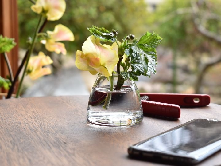 �ե��١��� �����ޤ��åߥ˥��饹�١�����Mignon �ߥ˥�� 2021model��S��������4�ǥ�����á�6034��