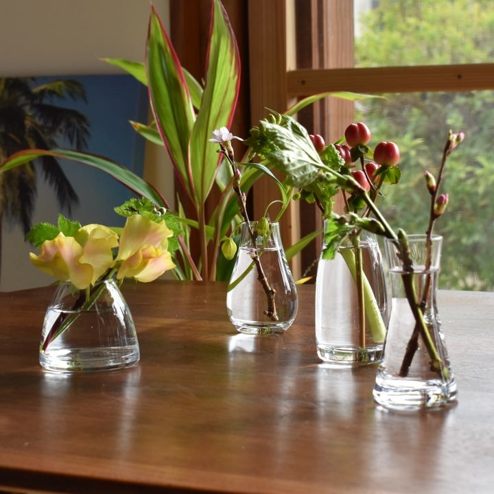 �ե��١��� �����ޤ��åߥ˥��饹�١�����Mignon �ߥ˥�� 2021model��S��������4�ǥ�����á�6034��