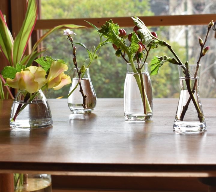 �ե��١��� �����ޤ��åߥ˥��饹�١�����Mignon �ߥ˥�� 2021model��S��������4�ǥ�����á�6034��