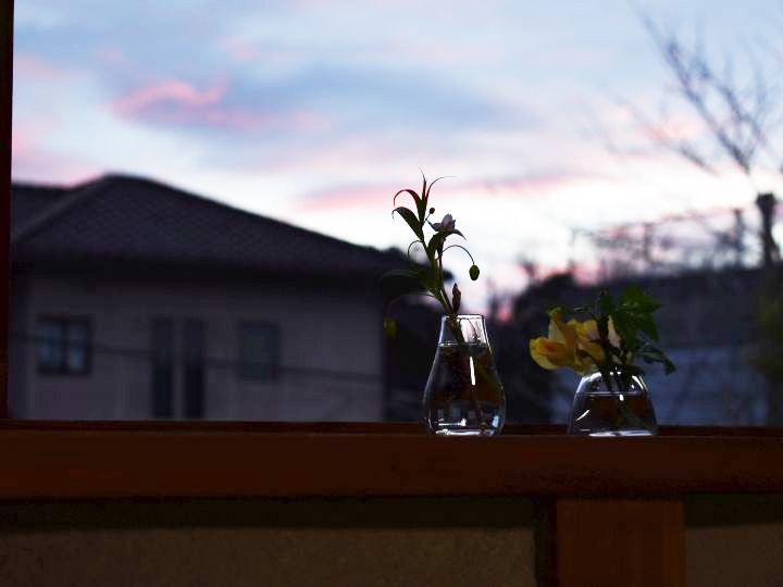 �ե��١��� �����ޤ��åߥ˥��饹�١�����Mignon �ߥ˥�� 2021model��S��������4�ǥ�����á�6034��