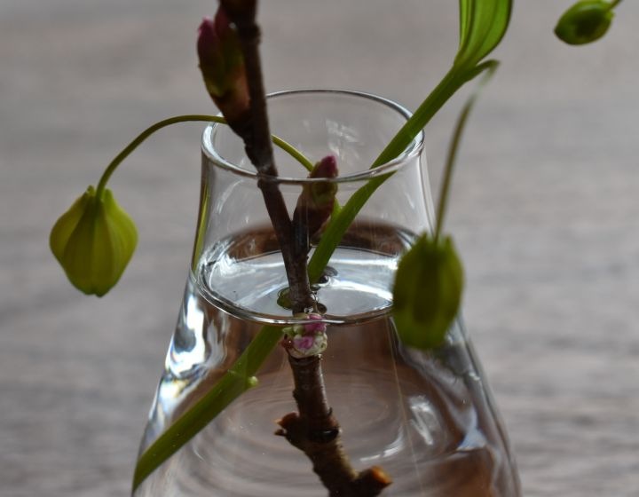 �ե��١��� �����ޤ��åߥ˥��饹�١�����Mignon �ߥ˥�� 2021model��S��������4�ǥ�����á�6034��