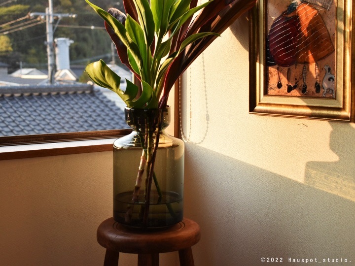 �ե��١��� �̲� �������åХ֥� Bubble L������ ��18cm�ݡ�30cm�å��ꥢ�֥�å��ò��� �ݷ� �緿 ��ʪ ���饹 �ʥ����� �֤䤫