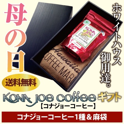 ̵ʥ硼ҡեȡKONAJOE 1